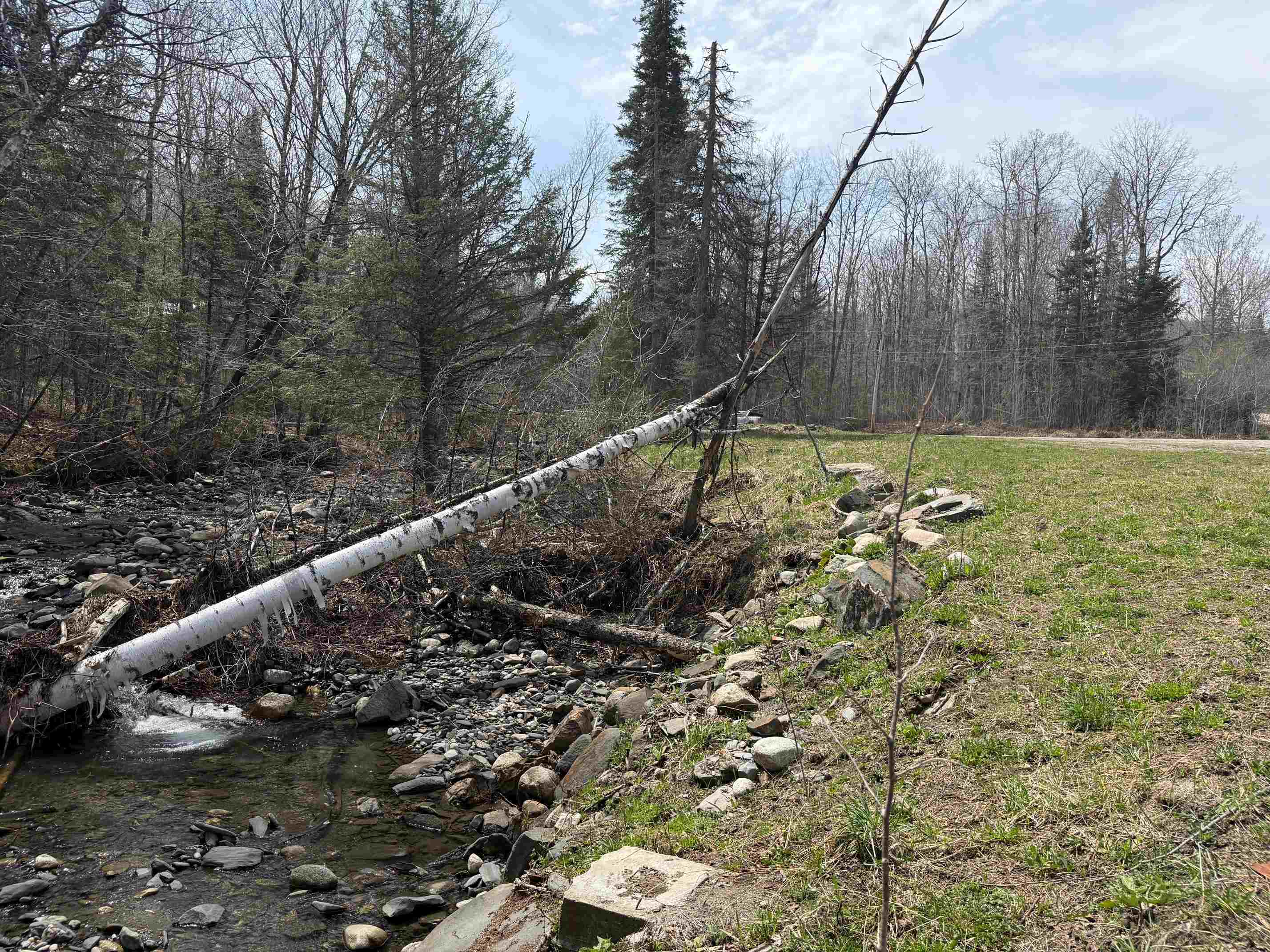 31 Blakely Road Wheelock, VT 05851 - Photo 7 of 9