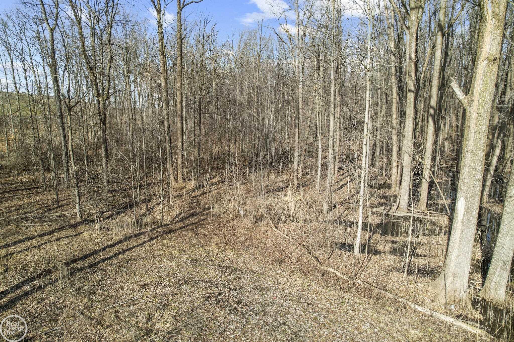 4716 County Line Road New Haven, MI 48048 - Photo 9 of 12