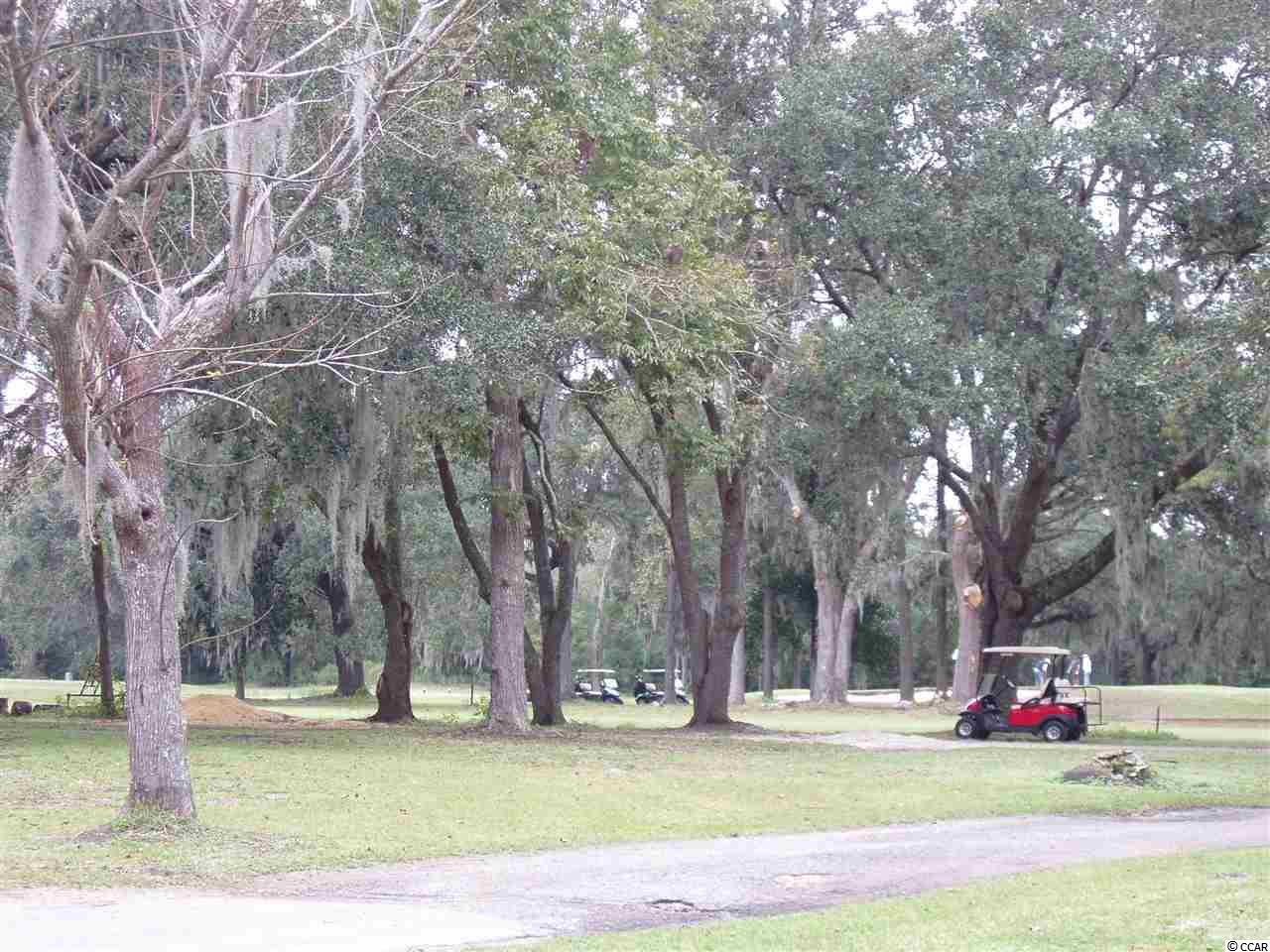 140 Wedgefield Village Road, Unit 29 Georgetown, SC 29440 - Photo 3 of 24 Gallery Image 3
