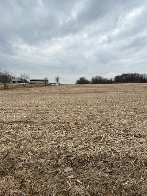 0 County Rd 800 N Eureka, IL 61530 - Photo 3 of 4 Gallery Image 3