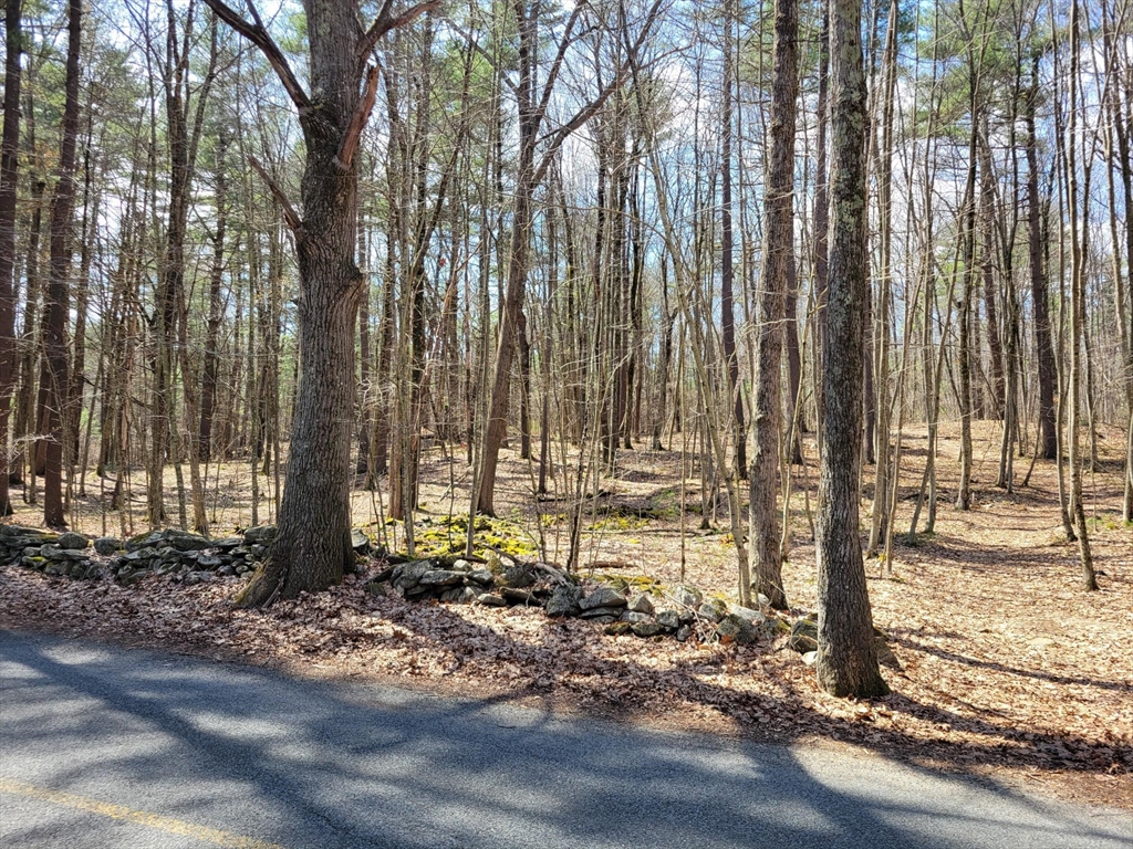 Lot 2 Daniels Road Dudley, MA 01571 - Photo 2 of 3