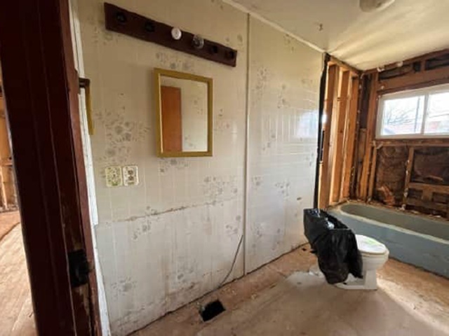 308 South 3rd Street Brownstown, IL 62418 - Photo 9 of 9 a bathroom with a sink and a mirror