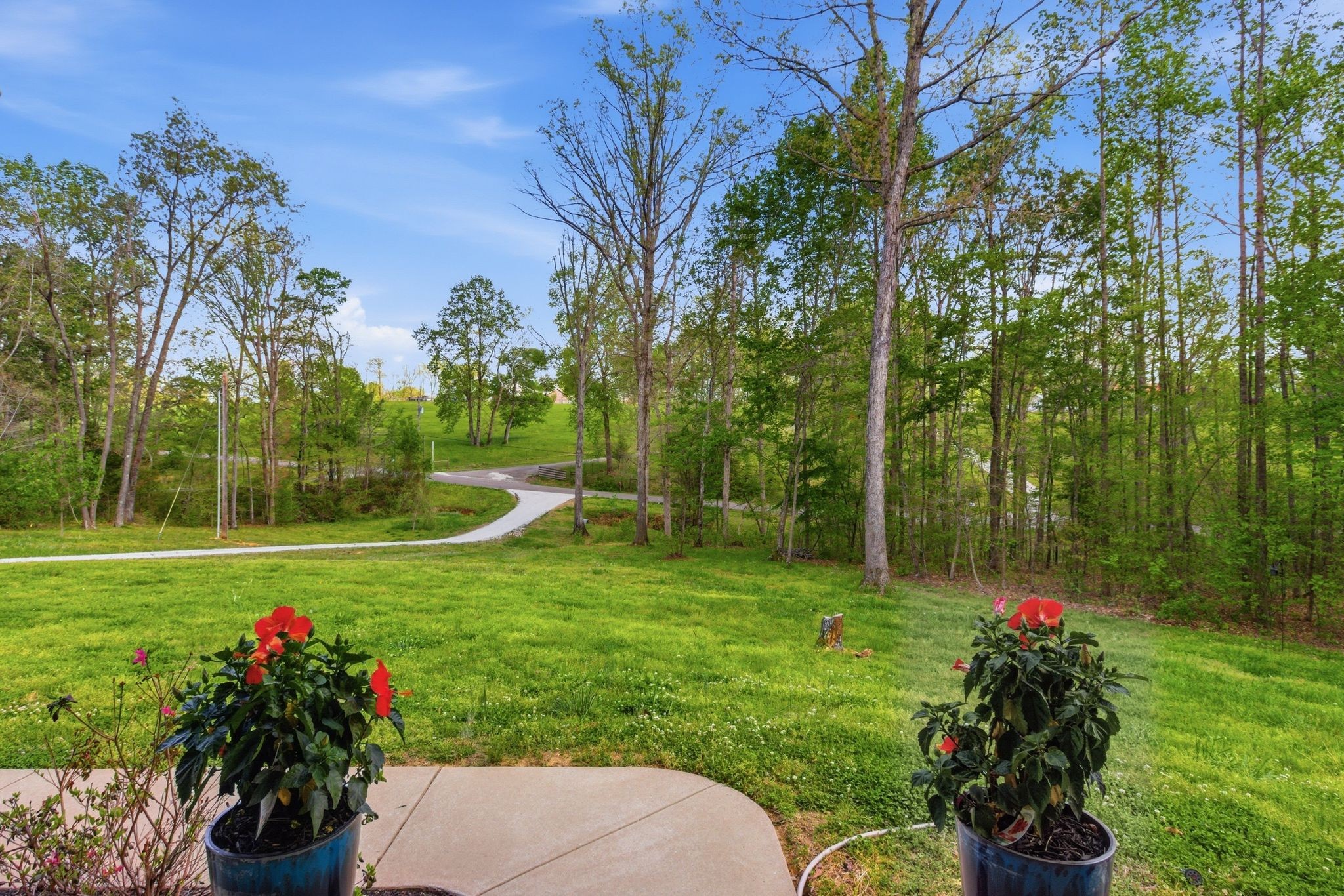 596 Eno Road Dickson, TN 37055 - Photo 3 of 63