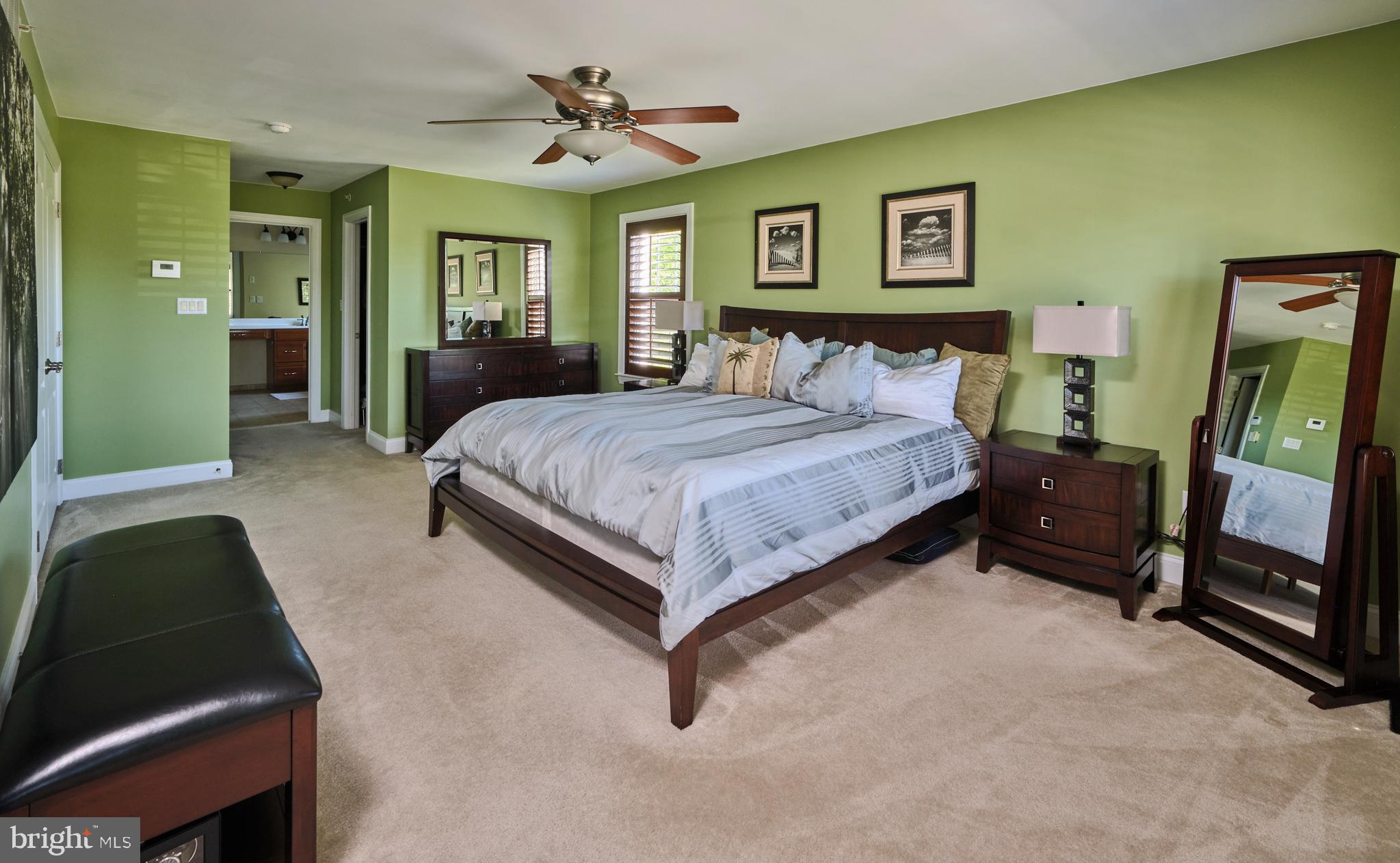 3844 Springtown Road Furlong, PA 18925 - Photo 19 of 46 Main bedroom