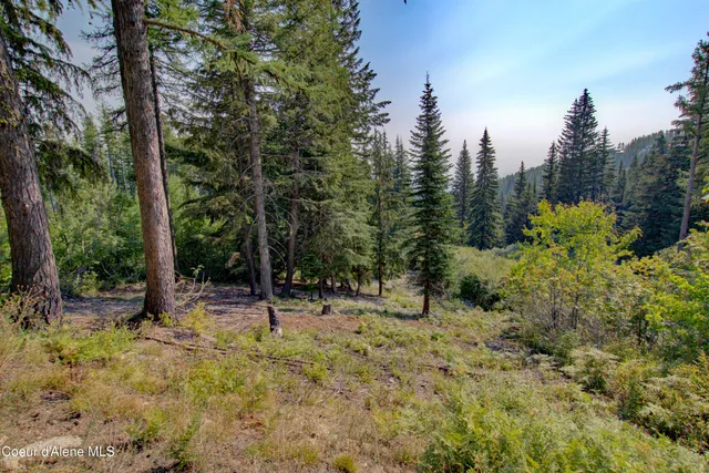 $365,000 | Blk4-lot4 Ullr Drive, Sandpoint, ID 83864