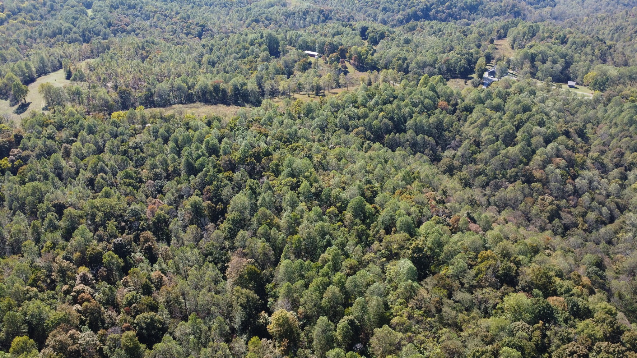 2 Ward Lane Bethpage, TN 37022 - Photo 12 of 17 a view of a forest with a street