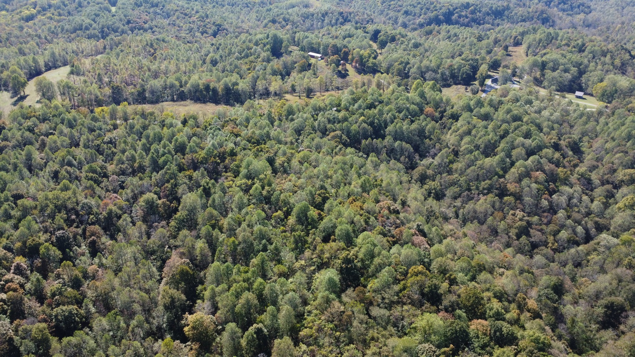 2 Ward Lane Bethpage, TN 37022 - Photo 13 of 17 a view of a forest with a street