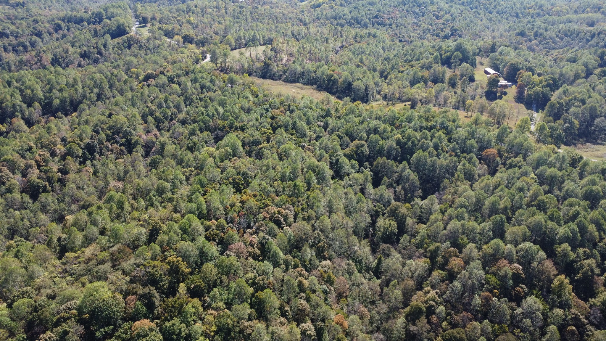 2 Ward Lane Bethpage, TN 37022 - Photo 16 of 17 a view of a forest with a street