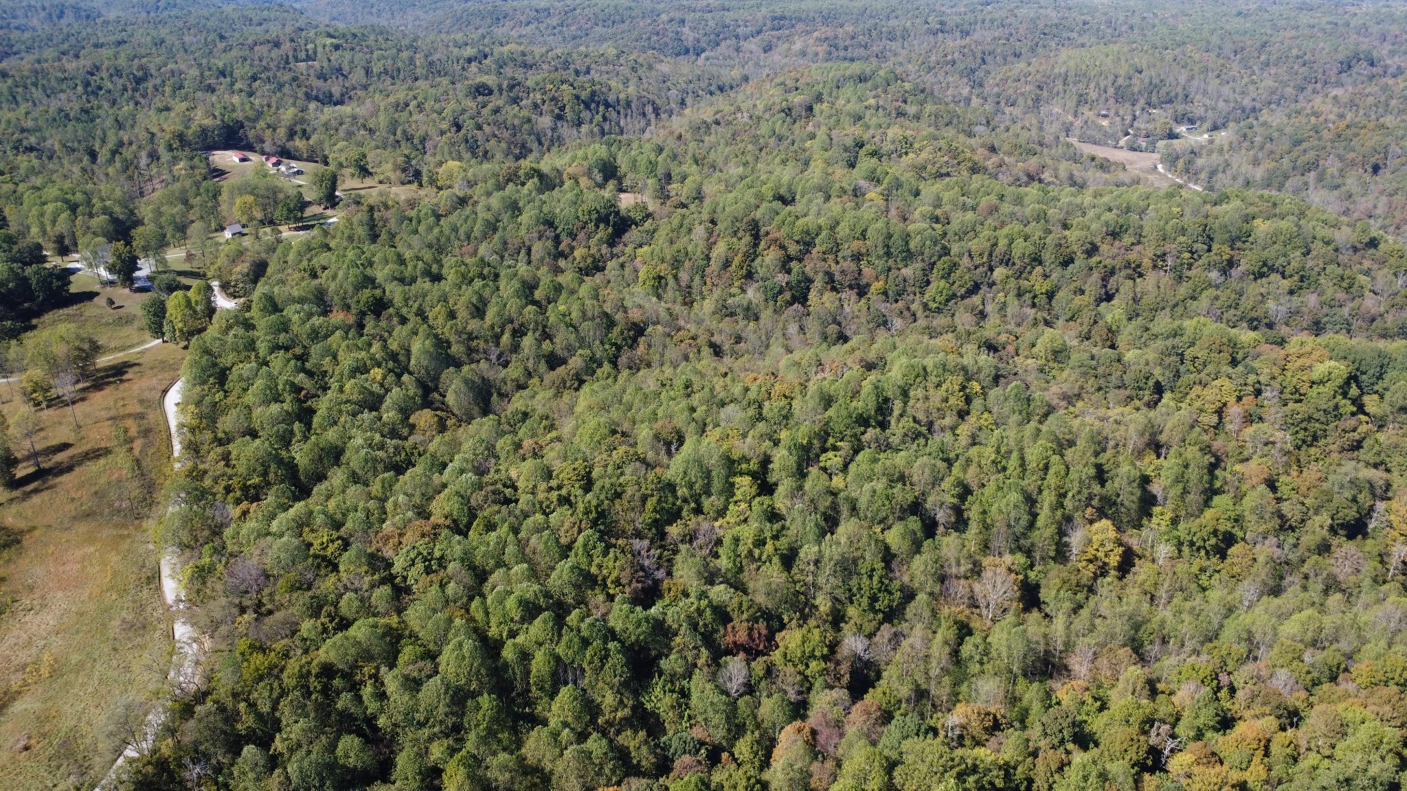 2 Ward Lane Bethpage, TN 37022 - Photo 7 of 17 a view of a lush green field