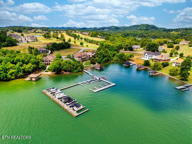 730 Rarity Bay Parkway Vonore, TN 37885 - Photo 17 of 20 Community Dock