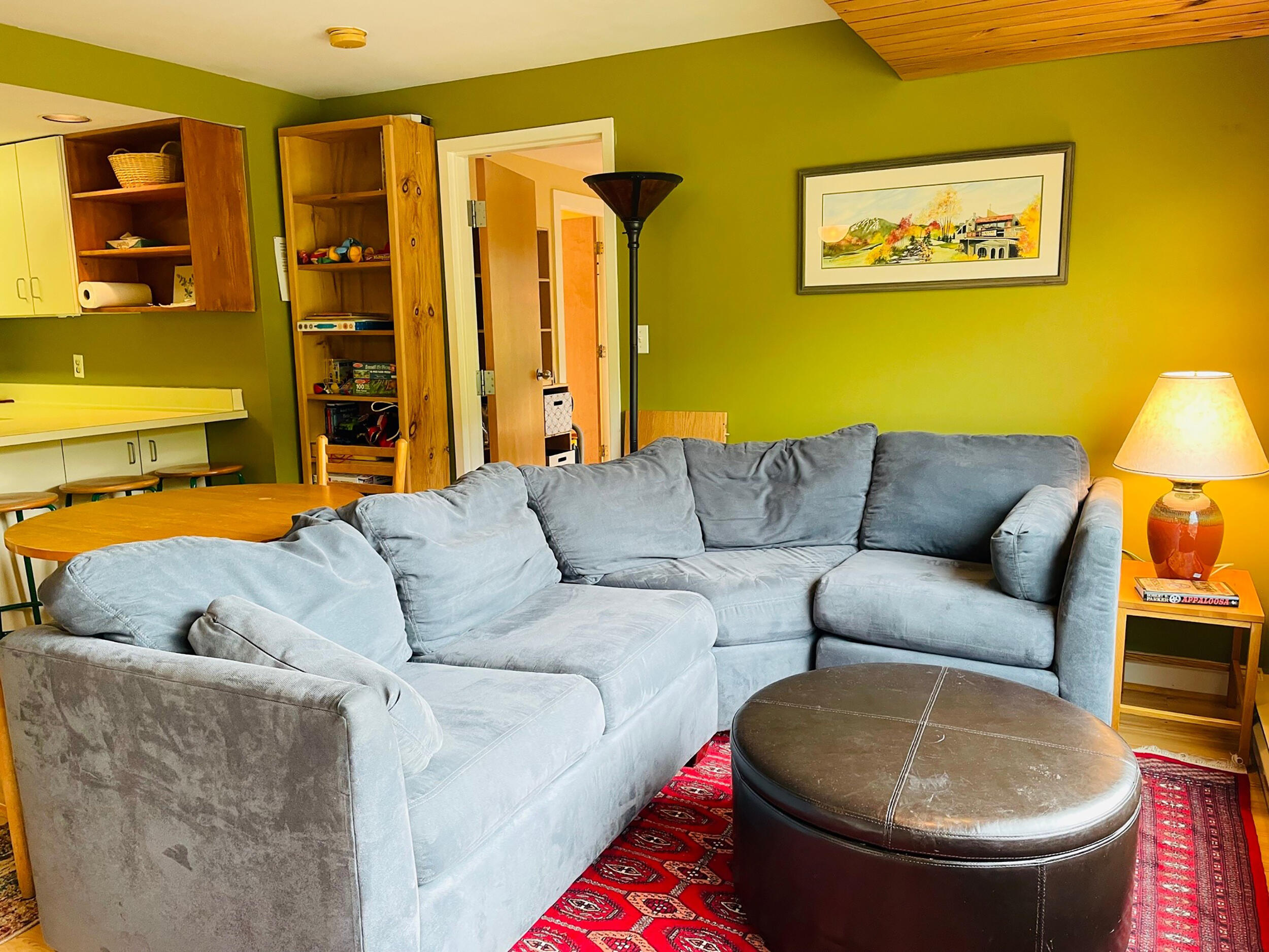 2206 Adams Mountain Road, Unit 2206 Kingfield, ME 04947 - Photo 7 of 14 GDV 2206 AMR LIVING 1B