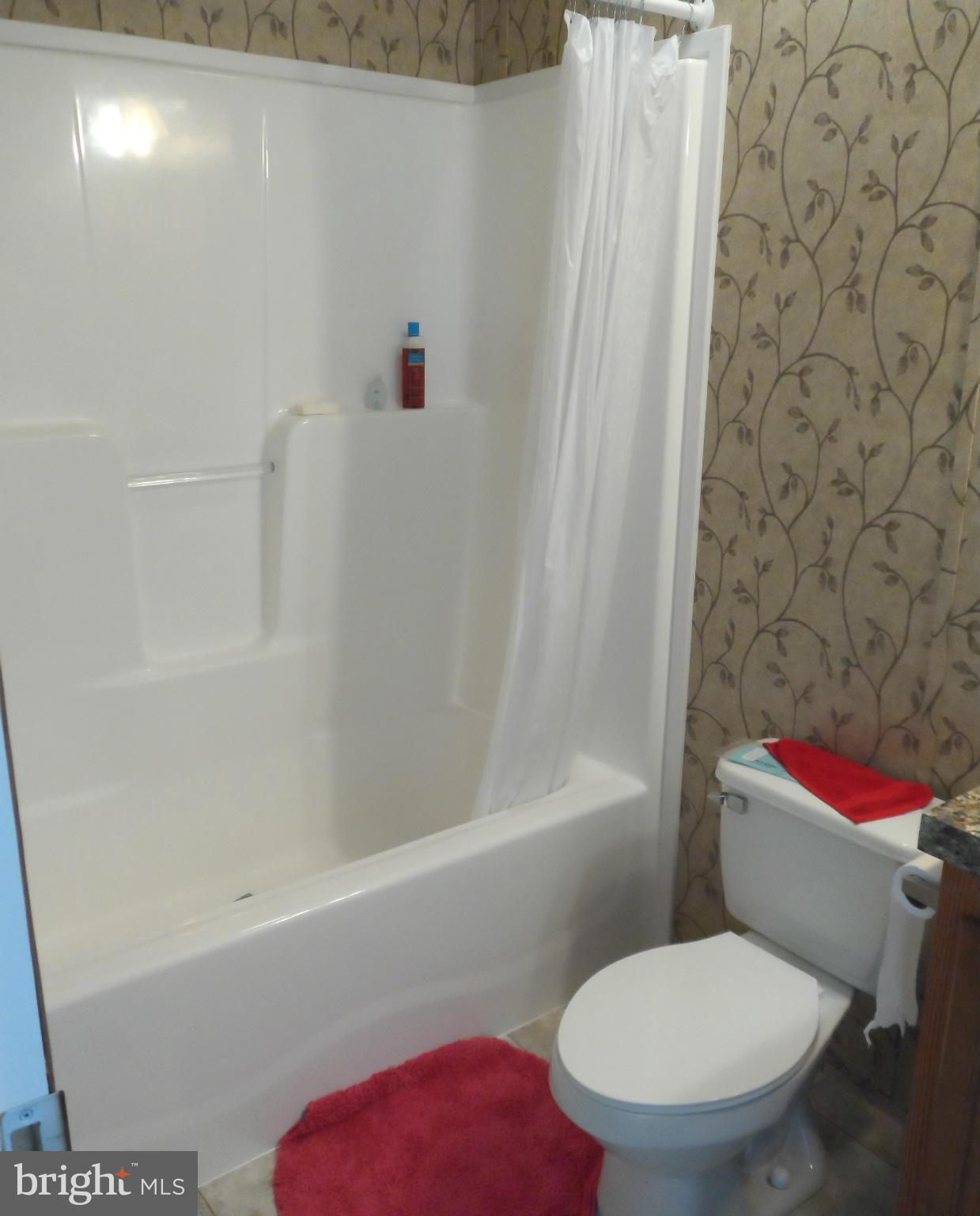 7837 East Hill Road Mount Airy, MD 21771 - Photo 4 of 15 Bath (Master)