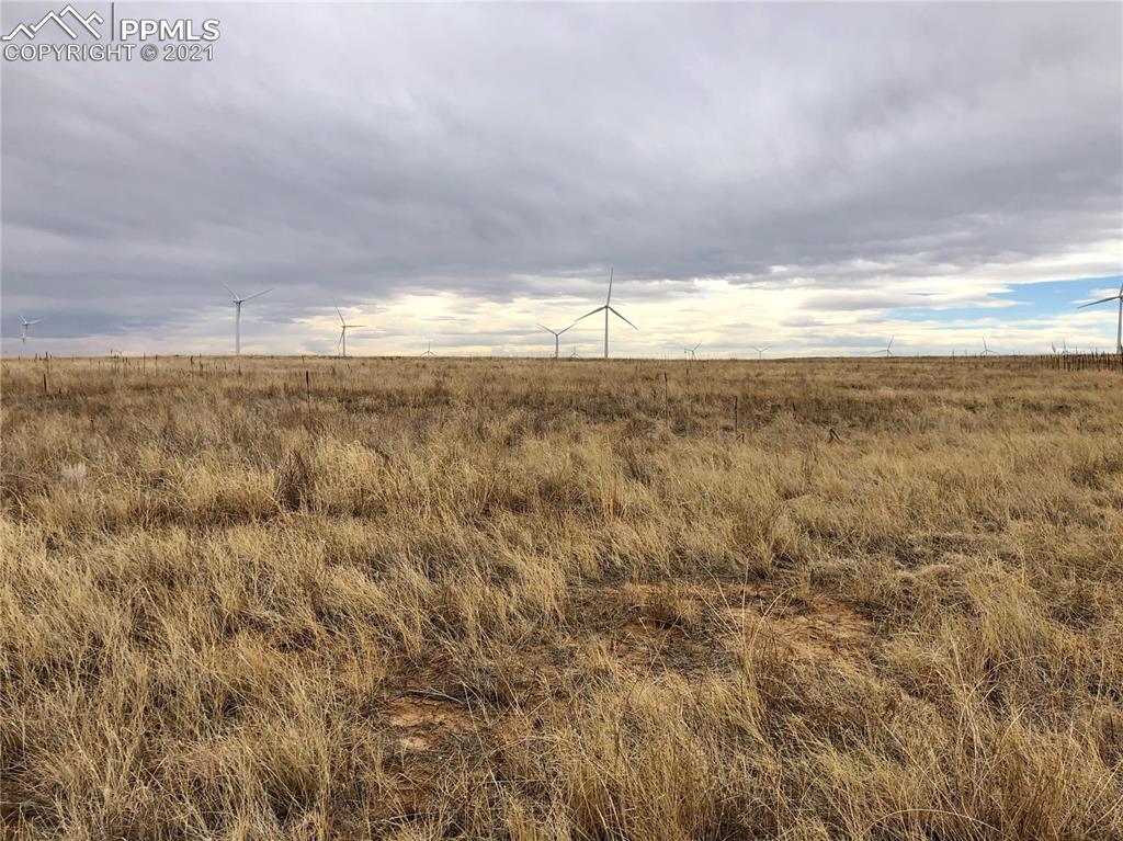 3 Judge Orr Road Calhan, CO 80808 - Photo 10 of 13
