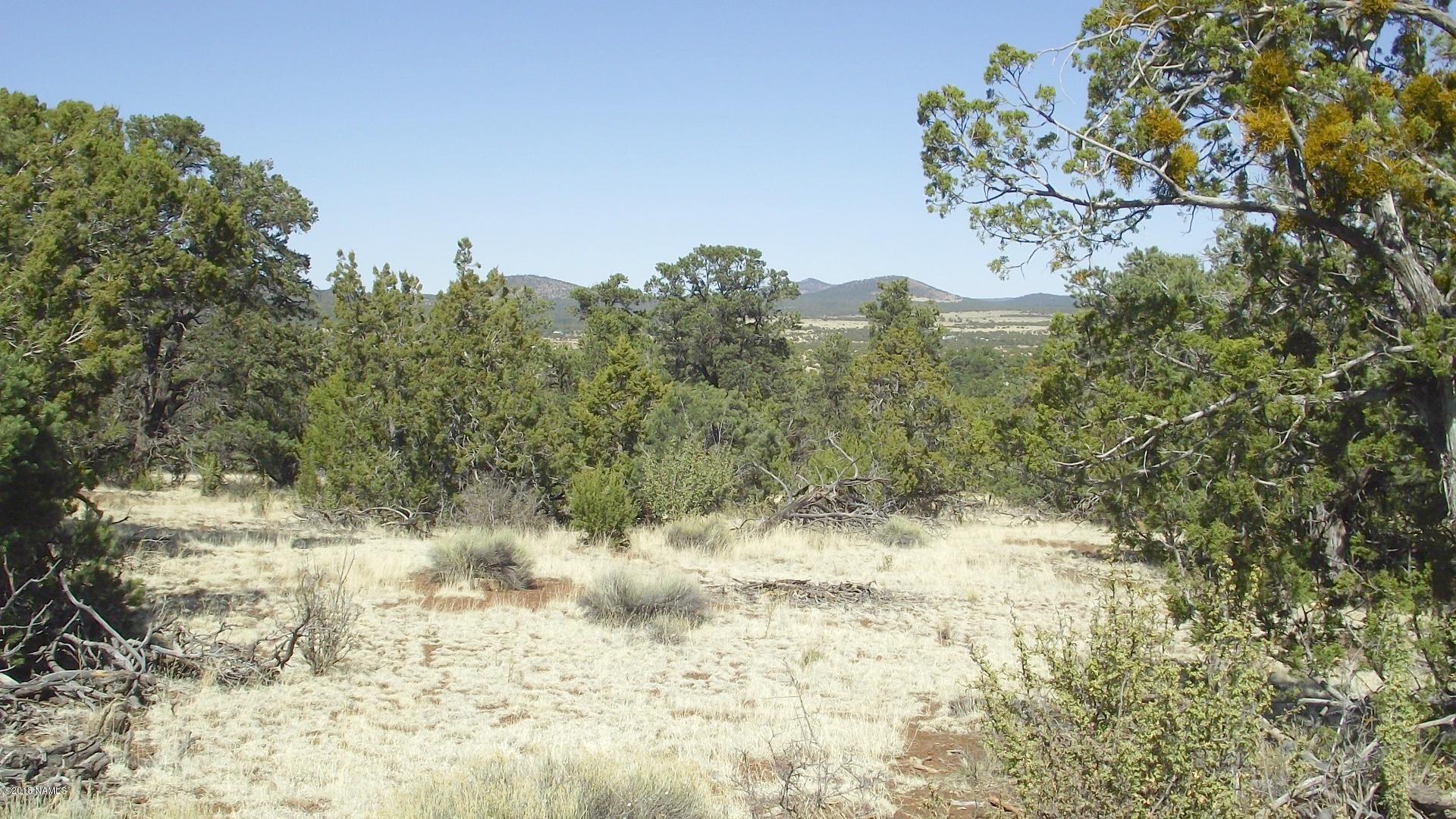 2 East Spring Valley Road Williams, AZ 86046 - Photo 1 of 5 DSCF0905