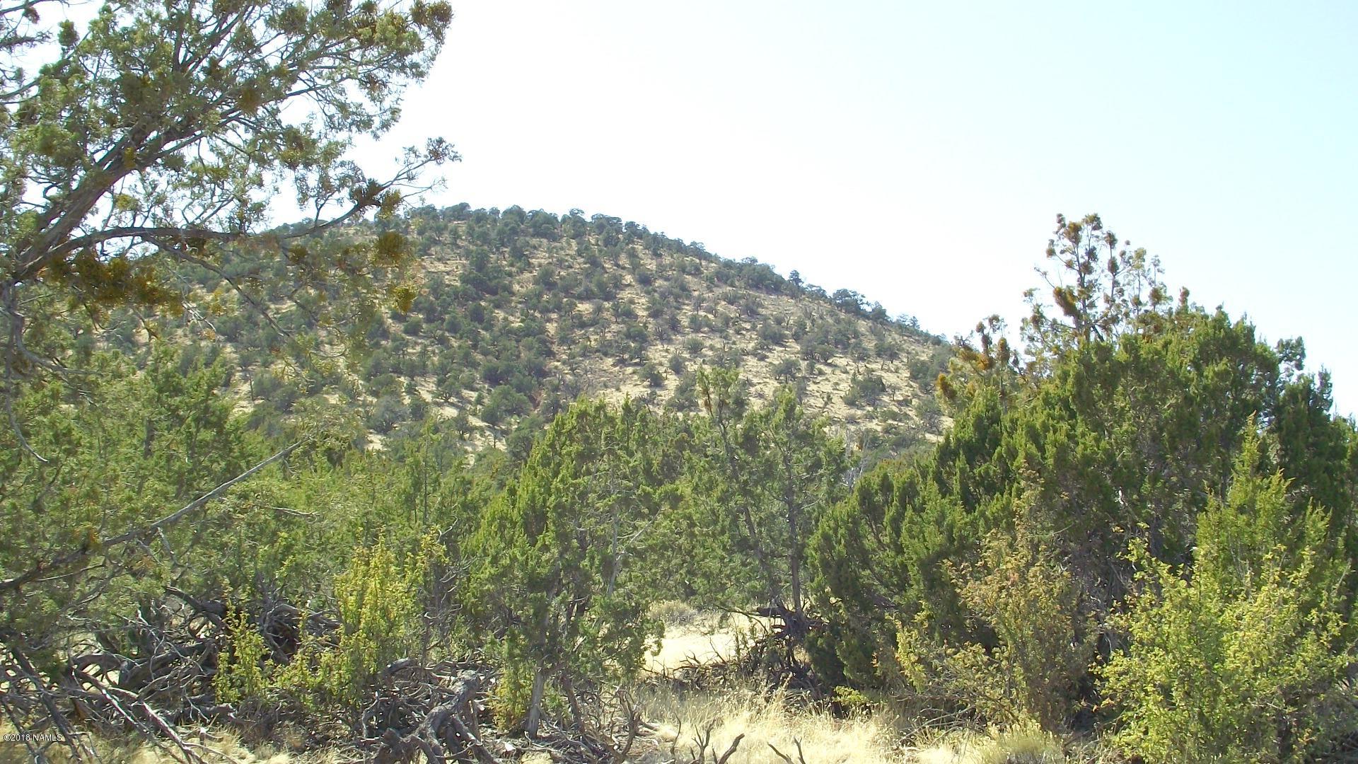 2 East Spring Valley Road Williams, AZ 86046 - Photo 2 of 5 DSCF0906
