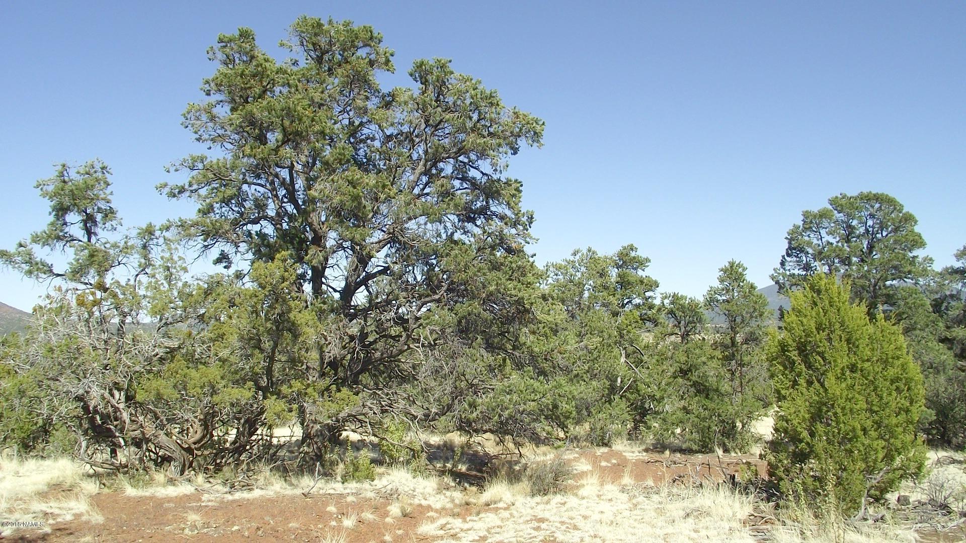 2 East Spring Valley Road Williams, AZ 86046 - Photo 3 of 5 DSCF0908
