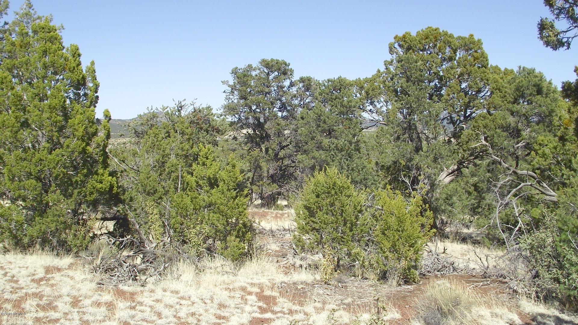 2 East Spring Valley Road Williams, AZ 86046 - Photo 4 of 5 DSCF0907