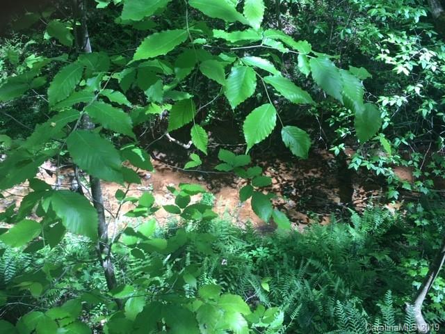 0 Hog Hill Road Vale, NC 28168 - Photo 2 of 7 Gallery Image 2
