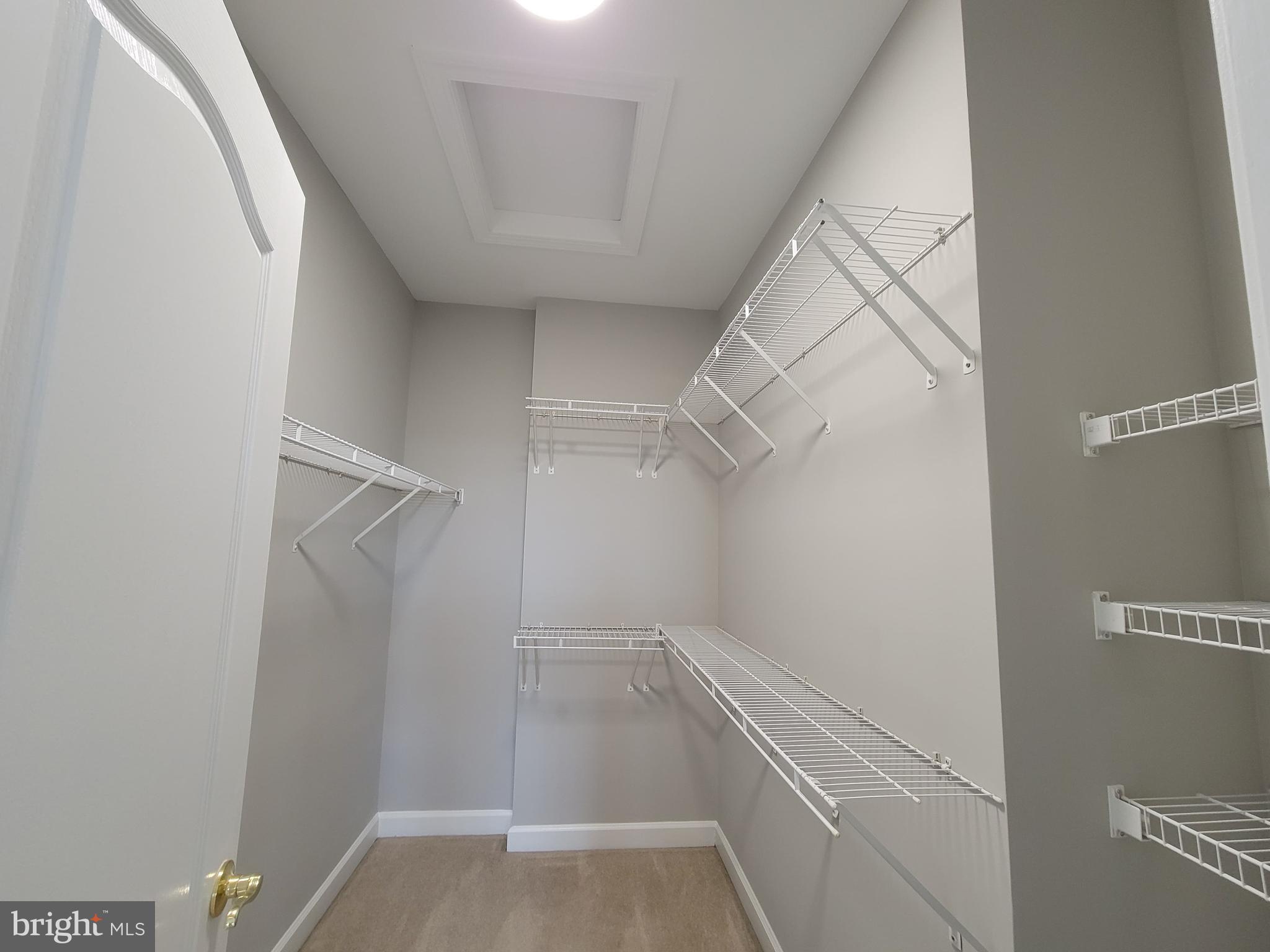 11837 Whitworth Cannon Lane Bristow, VA 20136 - Photo 42 of 63 a view of walk in closet with empty racks