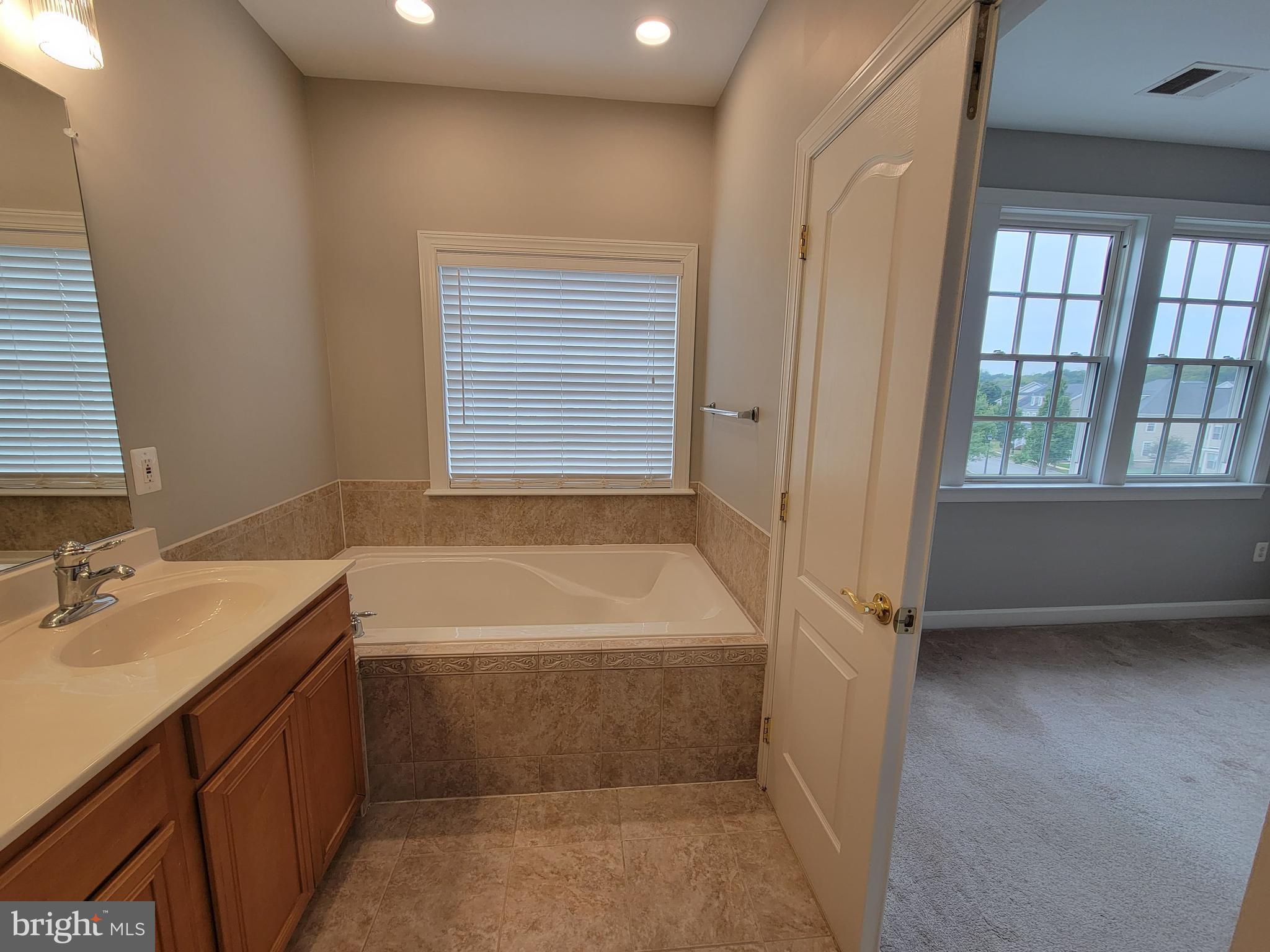 11837 Whitworth Cannon Lane Bristow, VA 20136 - Photo 45 of 63 a bathroom with a tub sink and mirror