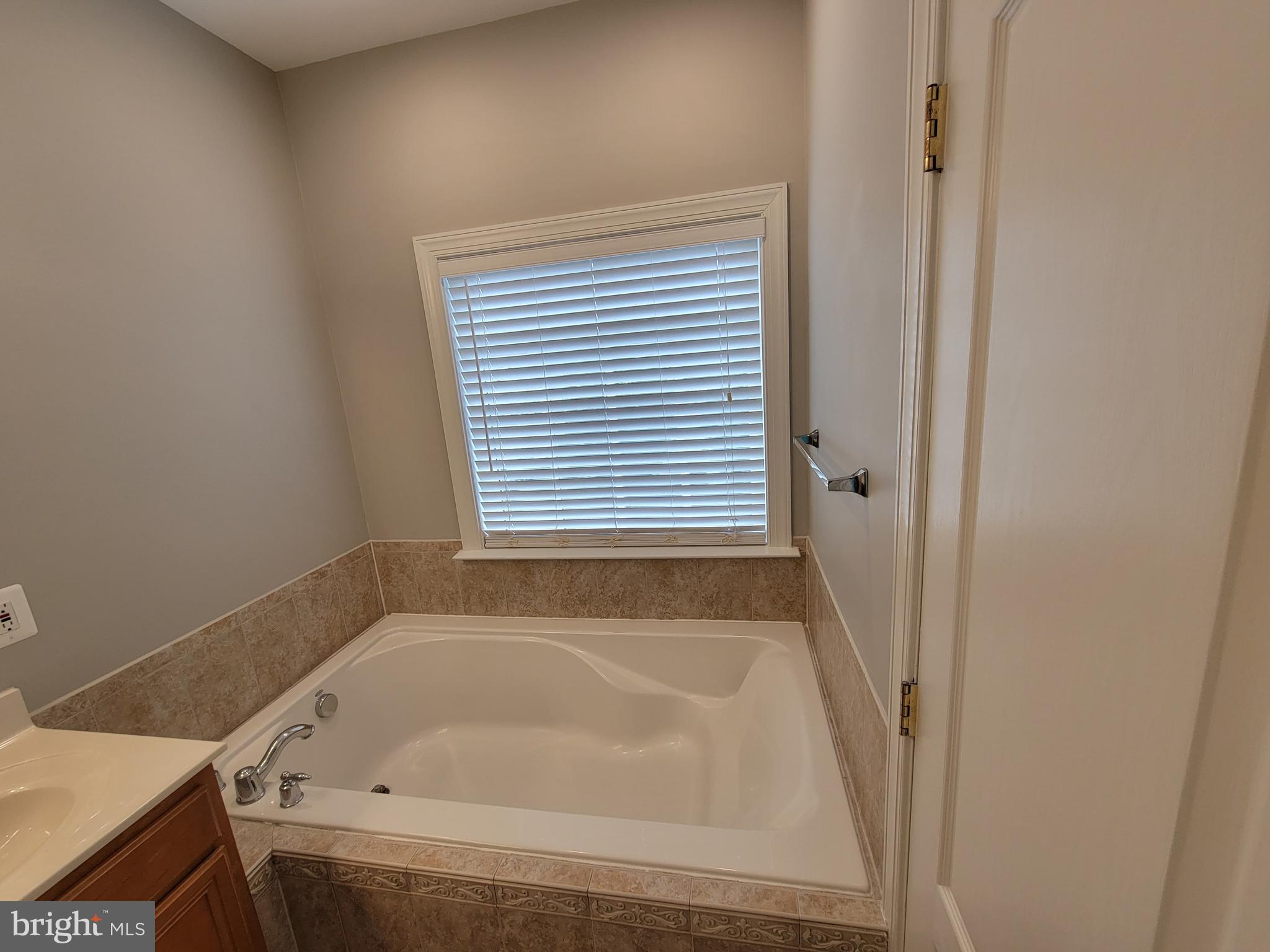 11837 Whitworth Cannon Lane Bristow, VA 20136 - Photo 46 of 63 a bathroom with a bathtub