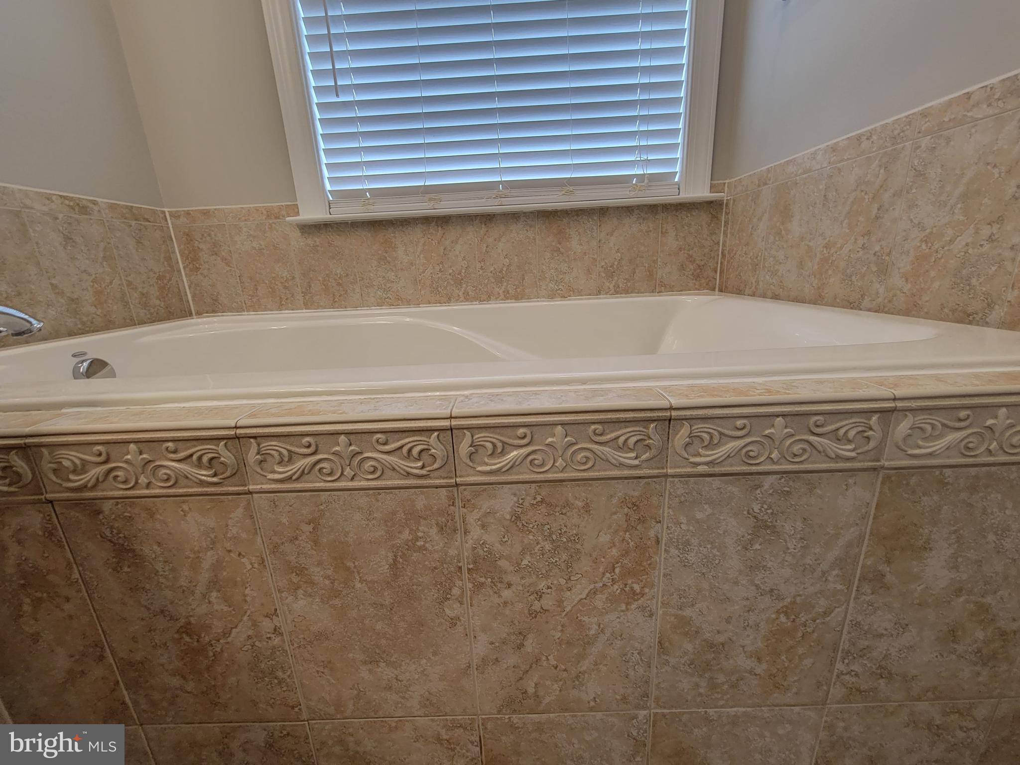 11837 Whitworth Cannon Lane Bristow, VA 20136 - Photo 47 of 63 a view of a bath tub sitting in a bathroom