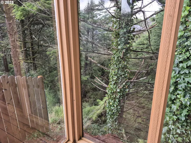 a view of a glass door with a tree