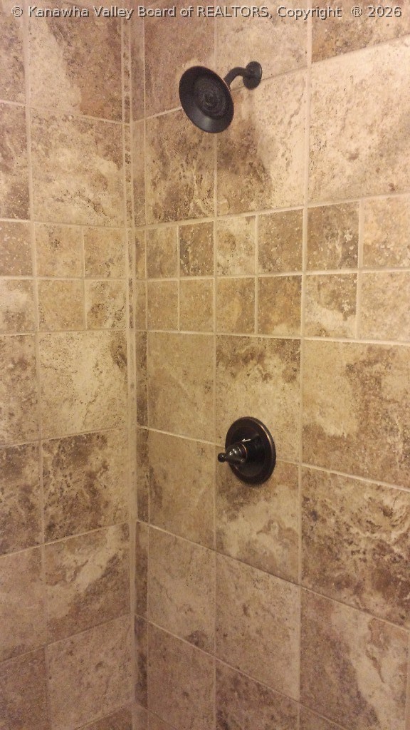 5300 Jericho Road Point Pleasant, WV 25550 - Photo 18 of 26 Dual Shower Heads in Lg Custom Tiled Master Shower