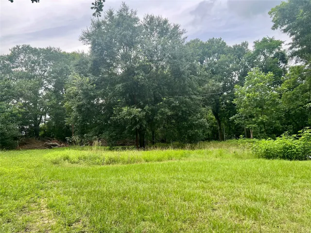 a view of a field with a trees in the background