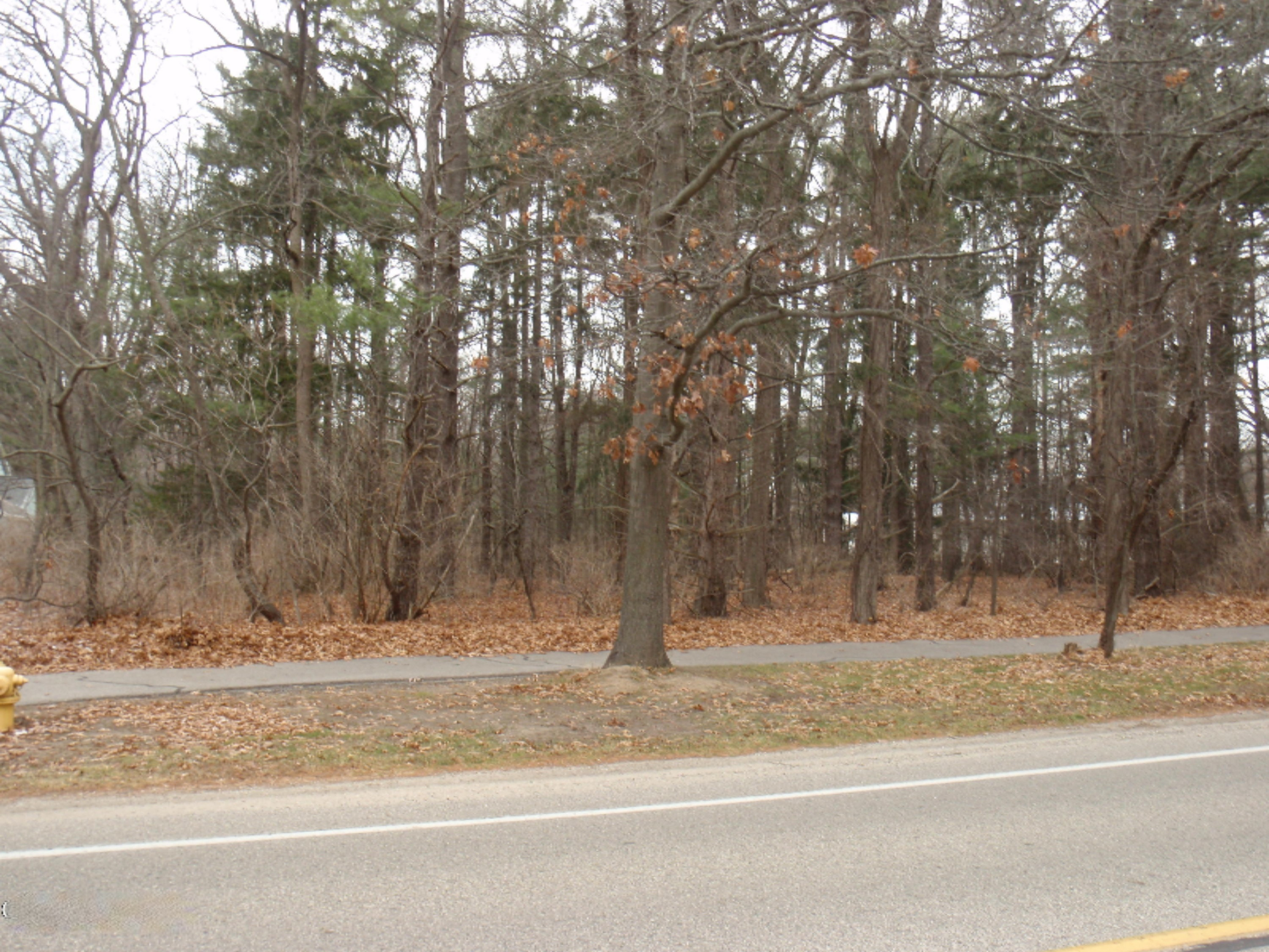 15459 Leonard Road Spring Lake, MI 49456 - Photo 1 of 5 P1012041