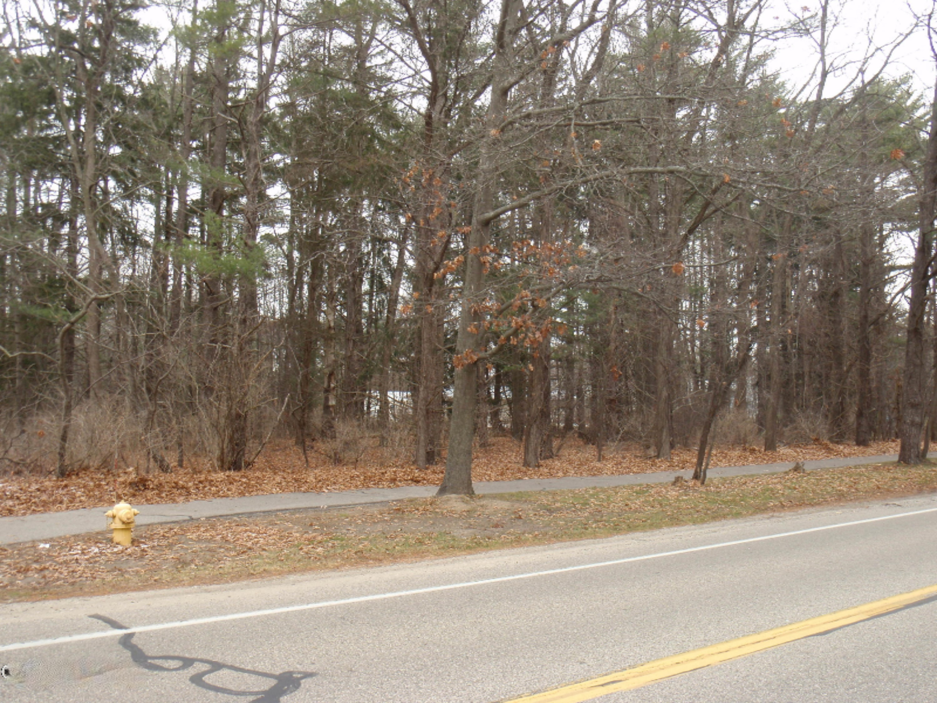 15459 Leonard Road Spring Lake, MI 49456 - Photo 2 of 5 P1012045
