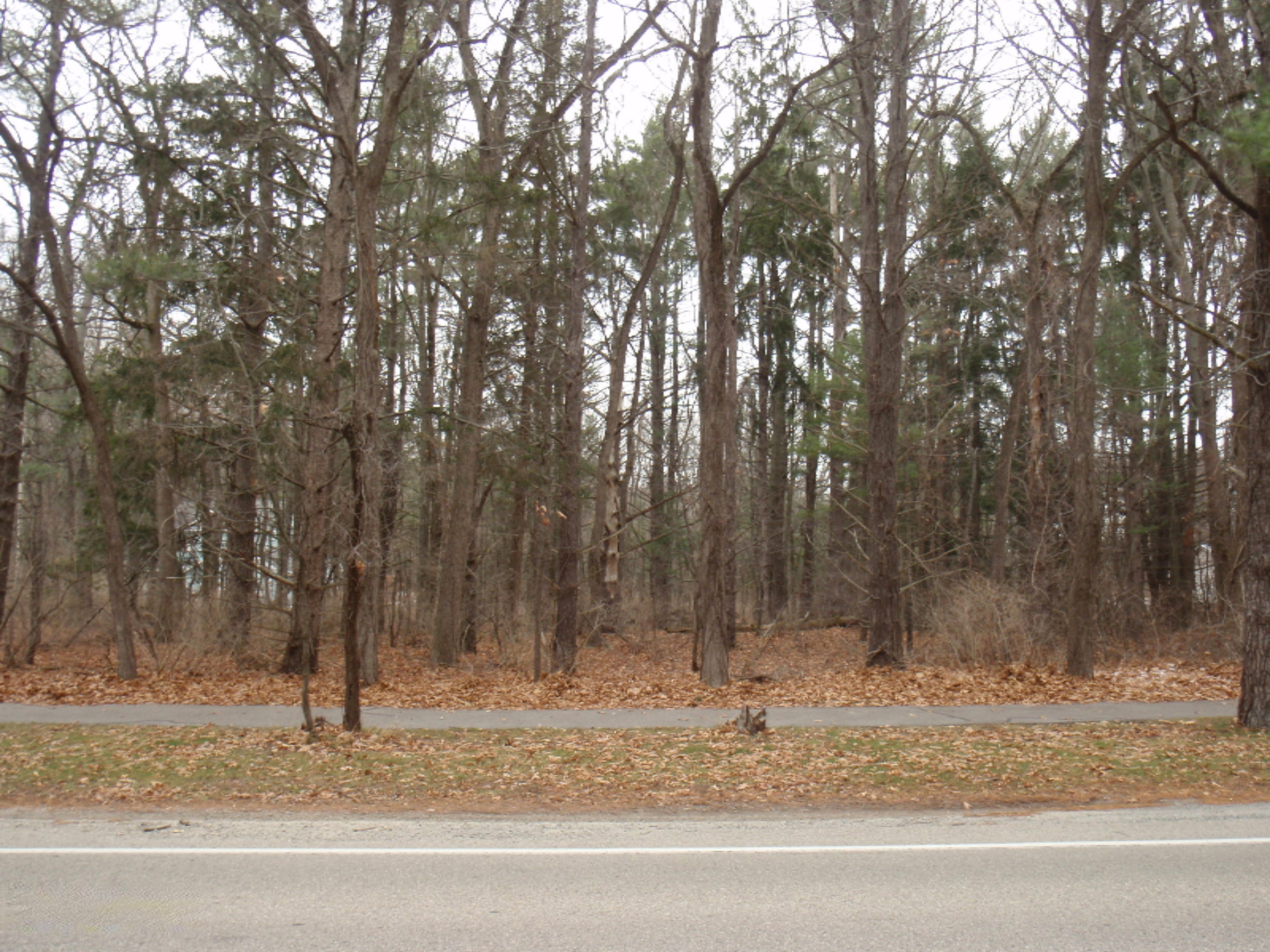 15459 Leonard Road Spring Lake, MI 49456 - Photo 3 of 5 P1012042