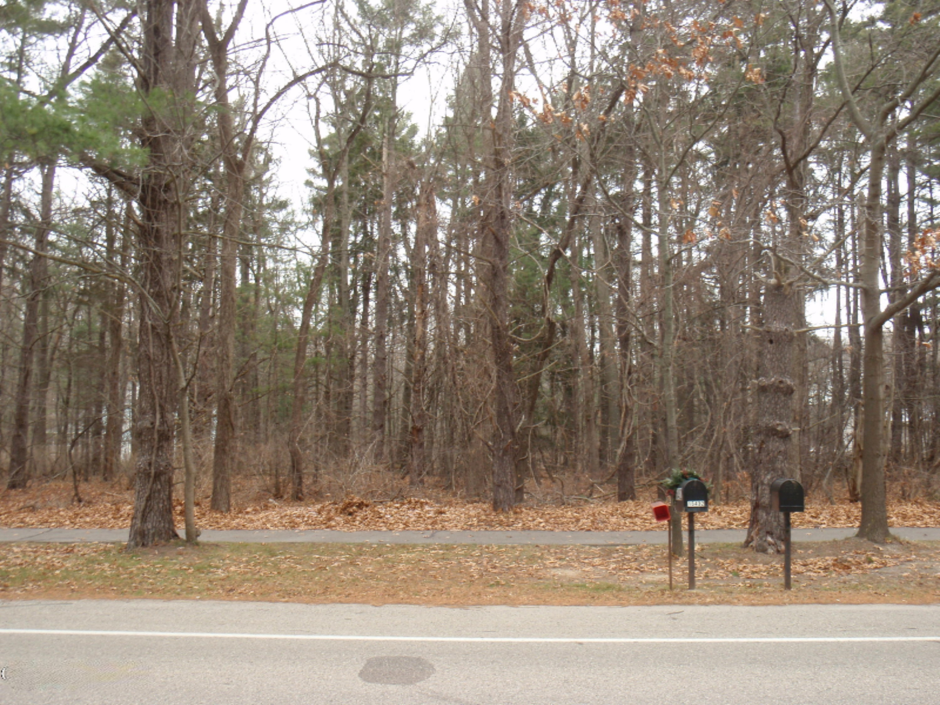15459 Leonard Road Spring Lake, MI 49456 - Photo 4 of 5 P1012043