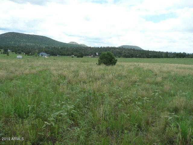 230 North Seeley Road, Unit 2 Young, AZ 85554 - Photo 2 of 10 late summer green up