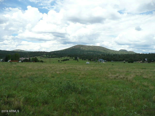 230 North Seeley Road, Unit 2 Young, AZ 85554 - Photo 4 of 10 center of lot