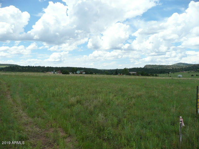 230 North Seeley Road, Unit 2 Young, AZ 85554 - Photo 6 of 10 easement on S edge of lot