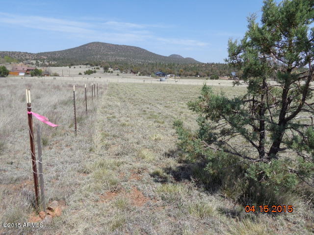 230 North Seeley Road, Unit 2 Young, AZ 85554 - Photo 8 of 10 W prop boundary