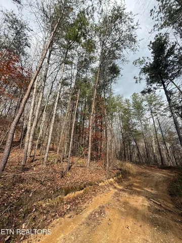 $75,000 | Lot 2 Parksville Road, Benton, TN 37307