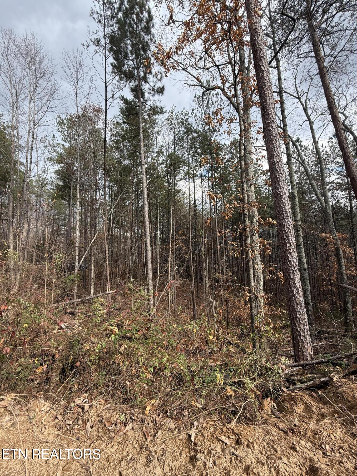 Lot 2 Parksville Road Benton, TN 37307 - Photo 3 of 16 IMG_0344