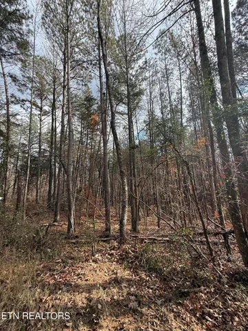 $75,000 | Lot 2 Parksville Road, Benton, TN 37307