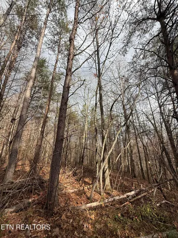 $75,000 | Lot 2 Parksville Road, Benton, TN 37307