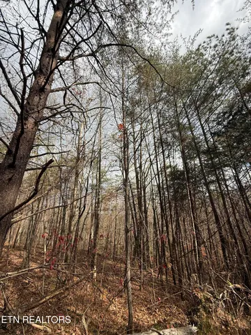 $75,000 | Lot 2 Parksville Road, Benton, TN 37307