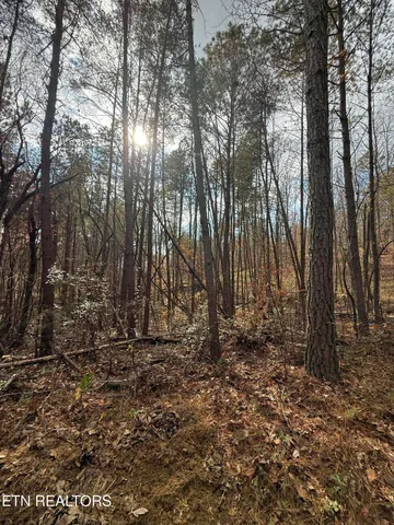 $75,000 | Lot 2 Parksville Road, Benton, TN 37307