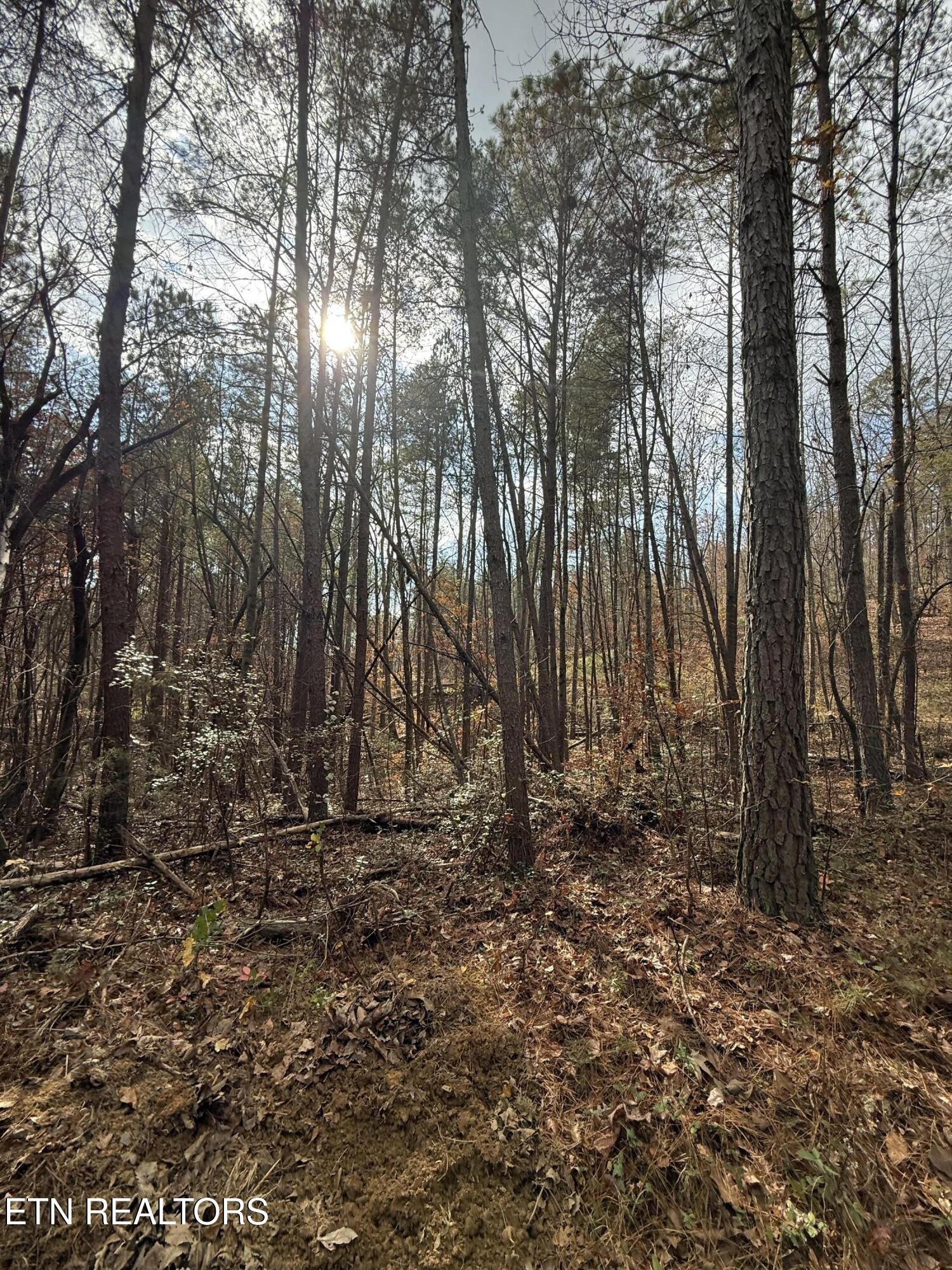 Lot 2 Parksville Road Benton, TN 37307 - Photo 7 of 16 IMG_0352