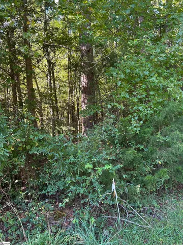 $40,000 | 0 Sparkstown Drive, Enoree, SC 29335