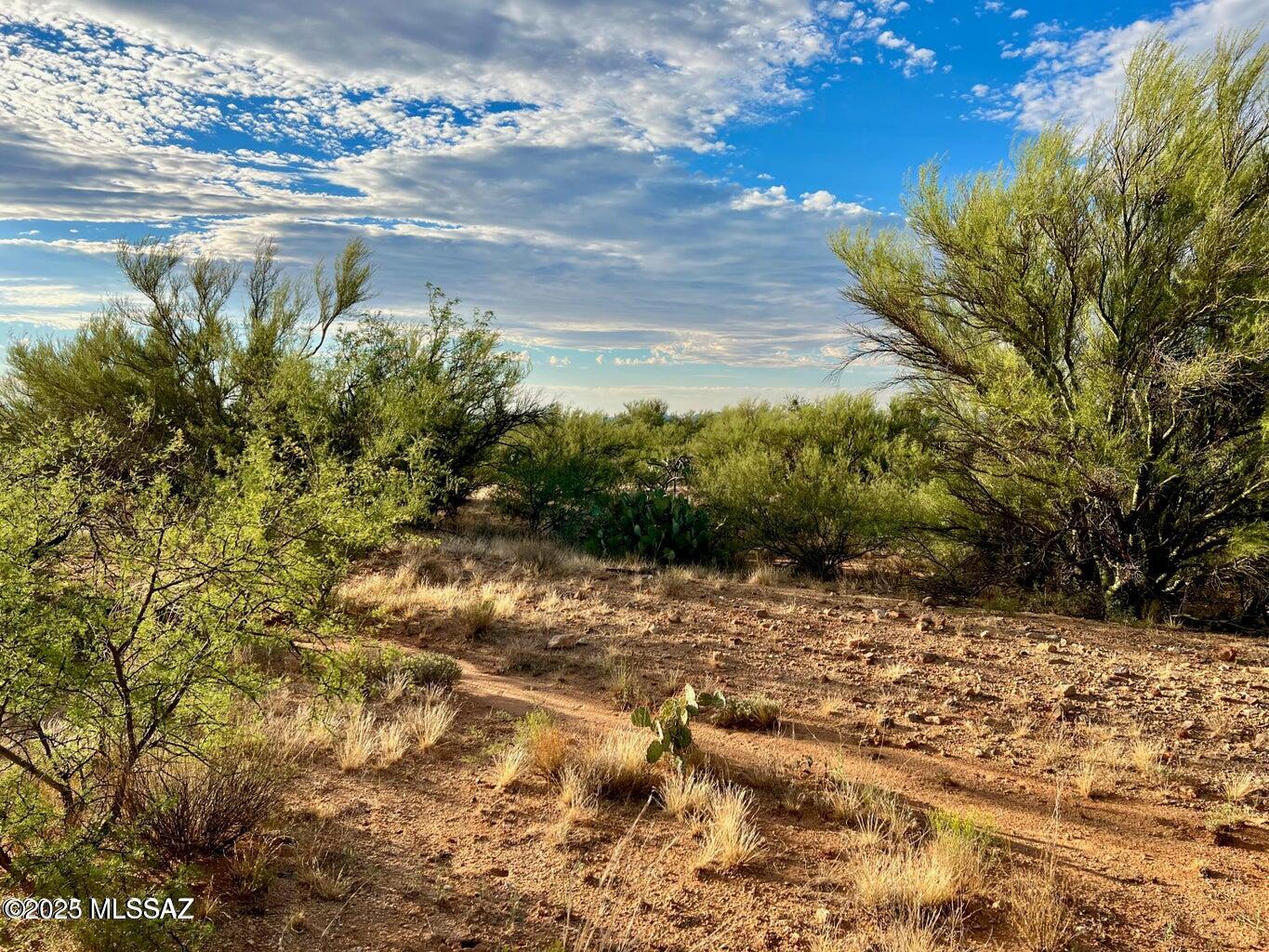 15966 West Phillips Road, Unit 270 Tucson, AZ 85736 - Photo 4 of 17 Gallery Image 4
