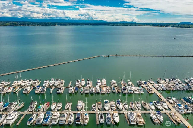 a view of a lake with boats and trees in the background