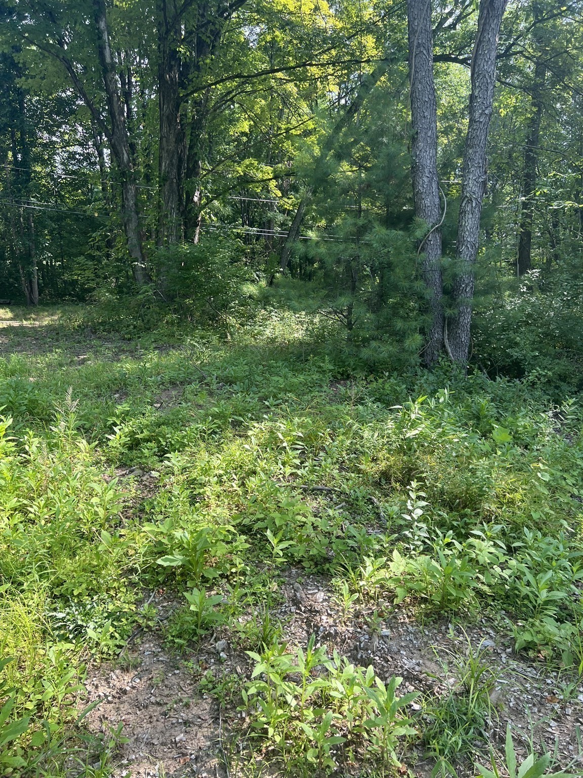 122 Vinton Road Holland, MA 01521 - Photo 4 of 18 Gallery Image 4