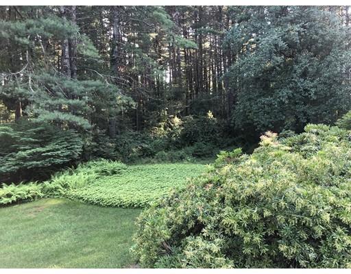 78 Draper Road Wayland, MA 01778 - Photo 2 of 10 a view of a lush green forest with trees and houses