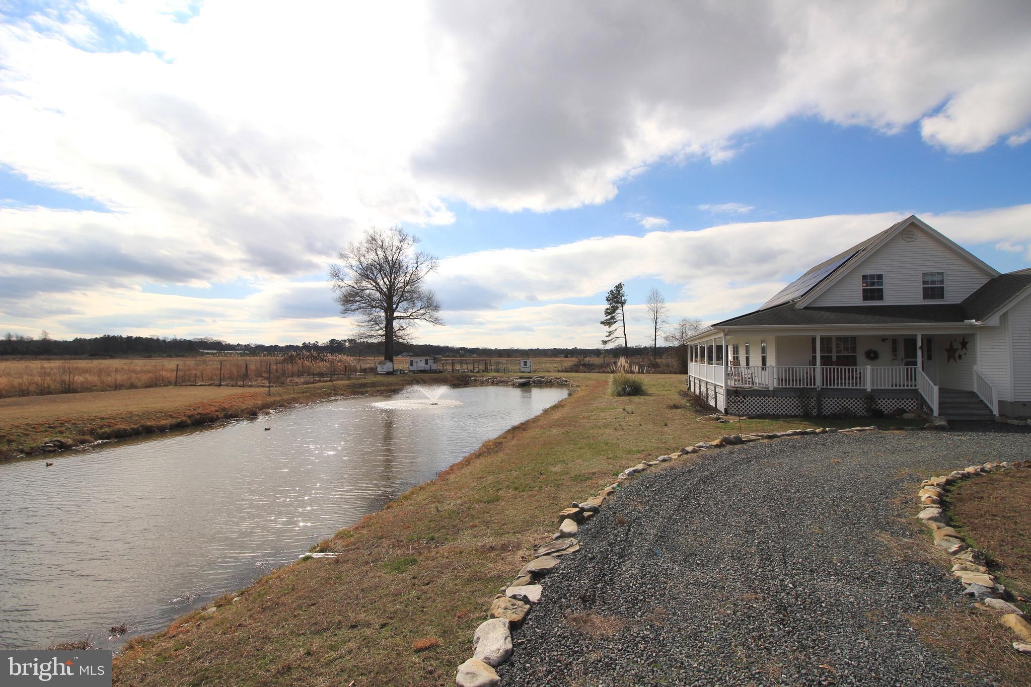5044 Campground Road Eden, MD 21822 - Photo 41 of 63 Stocked Pond with Fountain